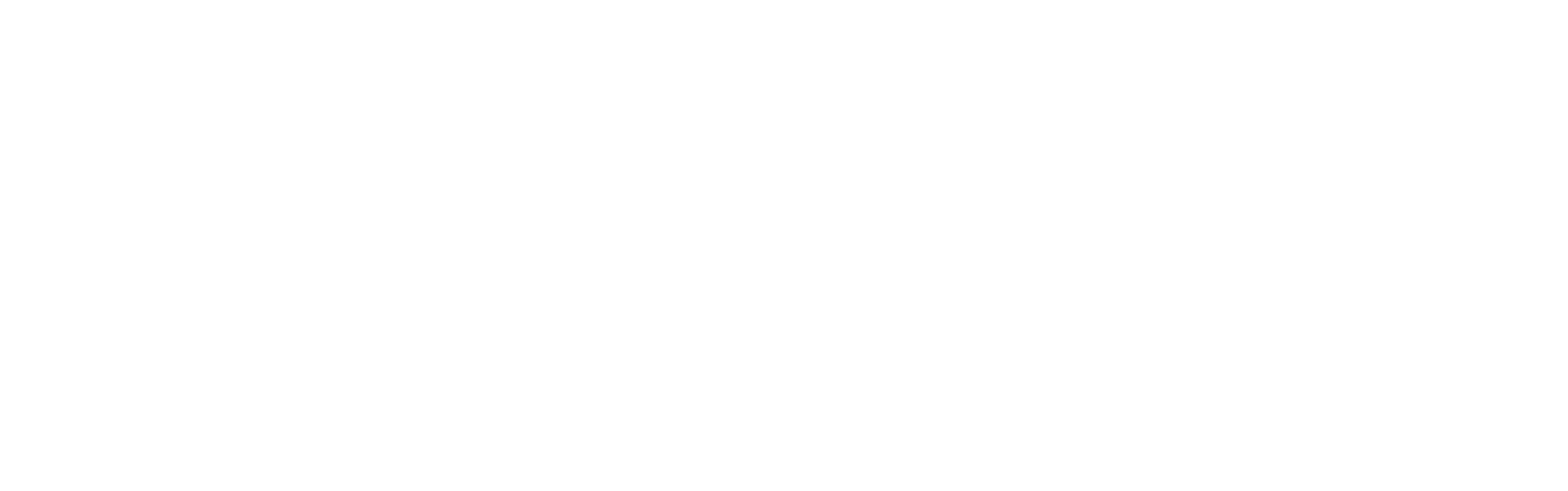 AxisVM logo sec inv